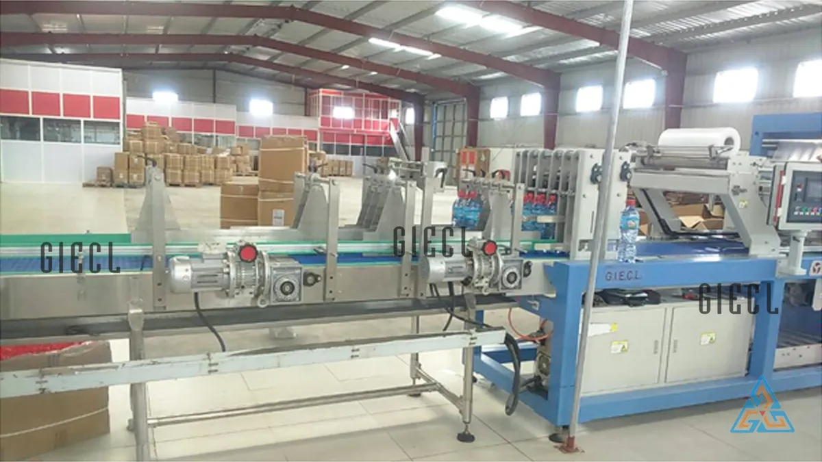 Fully Automatic Pet Blow Moulding Machine