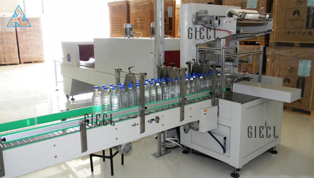 Fully Automatic Pet Blow Moulding Machine