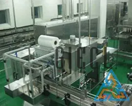 Automatic PE Film Shrink Wrapper